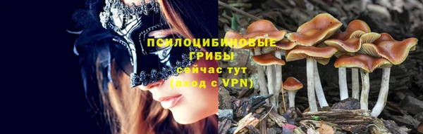 jwh Гусиноозёрск