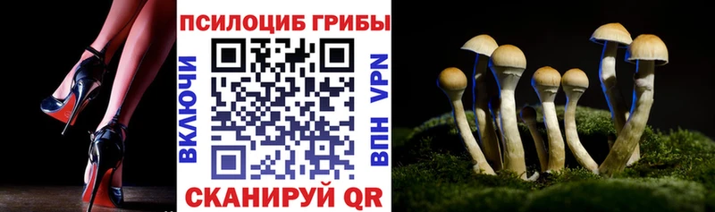 Купить где  Ишимбай  Галлюциногенные грибы мухоморы 